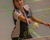 1BULLMINTON - 0505